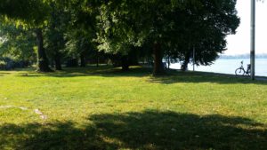 Liegeswiese am See mit Badestrand