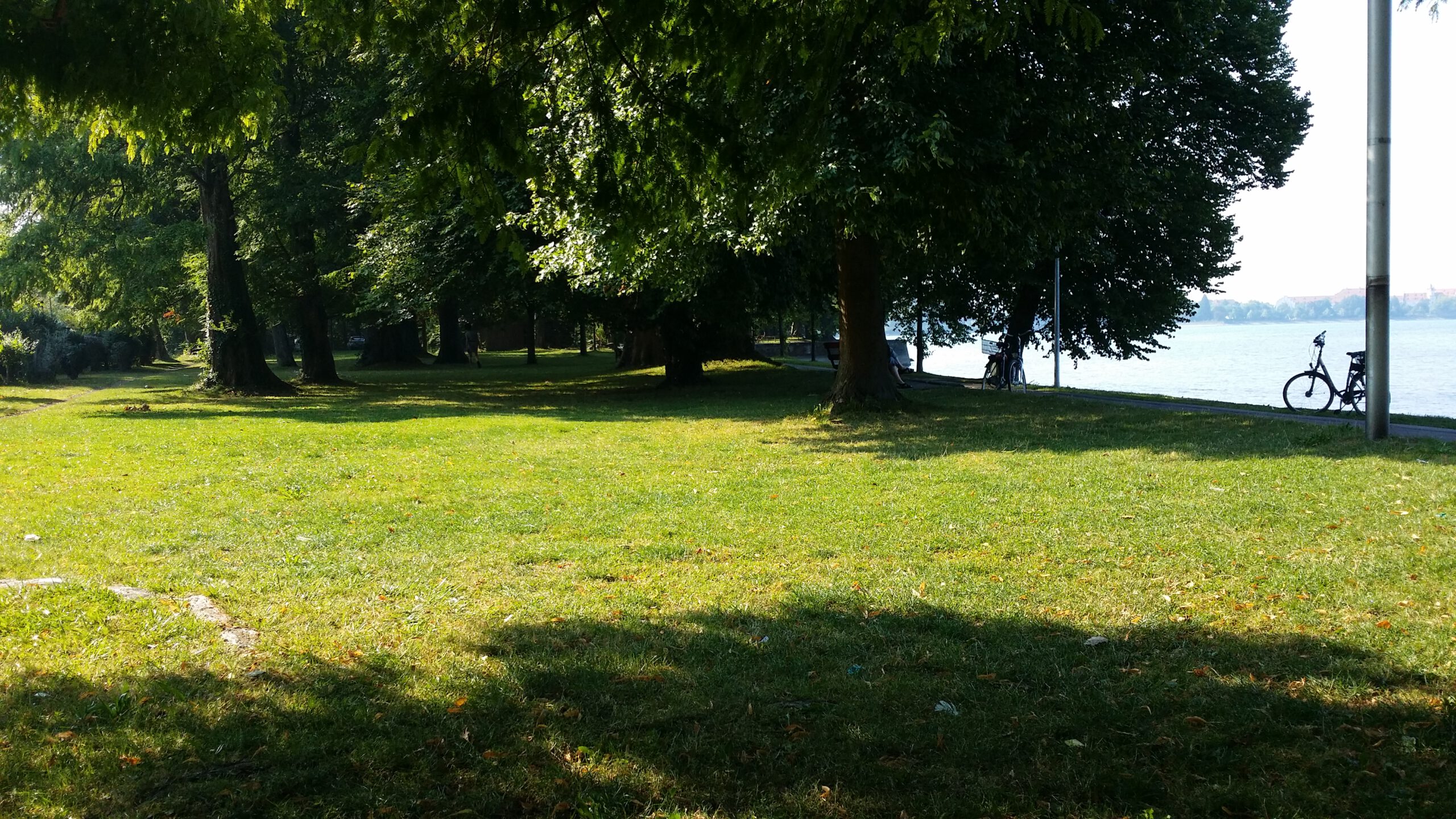 Liegeswiese am See mit Badestrand